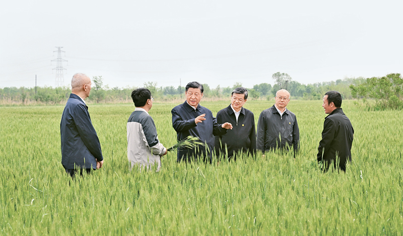 2023年5月11日至12日，中共中央總書記、國家主席、中央軍委主席習近平在河北考察，并主持召開深入推進京津冀協(xié)同發(fā)展座談會。這是11日上午，習近平在滄州市黃驊市舊城鎮(zhèn)仙莊片區(qū)旱堿地麥田考察時，同種植戶、農技專家親切交流。 新華社記者 李學仁/攝